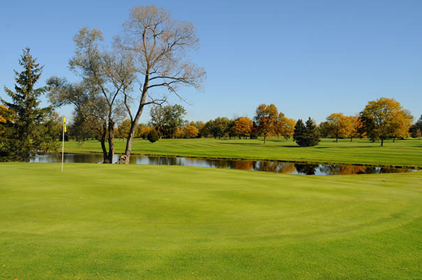The greens of Pleasant Knolls golf course