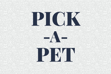 turning stone bingo electronic prices